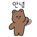 아라우에스테틱