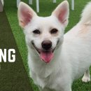 캄그루밍 이미지