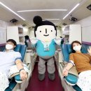 대우건설 본사 앞 조선비즈