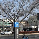 상동 469 이미지