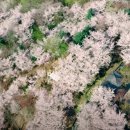 축제의 물결 이미지