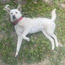 석포농장2 이미지