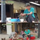 삼시세끼 이미지