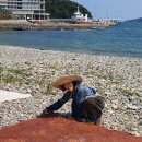 바다마을사람들 이미지