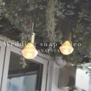 씨유 대전오류스타점 | 웨딩 일기 3. 본식 DVD 가성비 업체 스냅스타 기본형 계약 완료