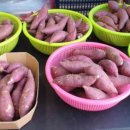 라프루타 이미지