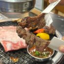 [호랑이양갈비 창원상남점]상남동맛집 창원회식 진심 추천 양고기전문점