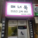 매너독반려견교육센터 | 대구 수성구 매너독반려견교육센터, 후기, 리뷰, 가격