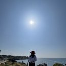 상귀리아 | 제주 올레길 16코스 후기 (고내포구~광령1리사무소) / 제주 올레 완주 후기