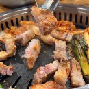 제주한라산도새기