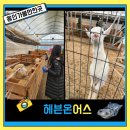 원삼농장 | 용인가볼만한곳 헤븐온어스 동물농장