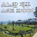 소노캄제주WEST동 | 소노캄 제주 스위트 프리미어 취사 객실 후기 | 직원 객실 종류 정리