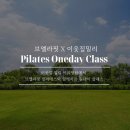 브엘라핏 이미지