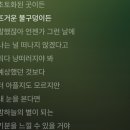 이게 피셜인지 아닌지는 모르겠지만 악뮤 낙하 이미지