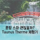 엠제이사우나 | 🇩🇪 혼탕 스파 괜찮을까? 독일 프랑크푸르트 근교 온천｜아이동반 Taunus Therme 솔직 후기