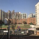 원명초등학교 이미지