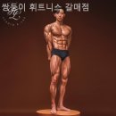쌍둥이 휘트니스 | 별내헬스장 쌍둥이 휘트니스 갈매점 추천 이유