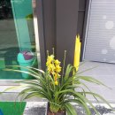 현대세차마당 이미지