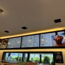 티라임스 이미지