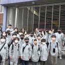 부산진초등학교 이미지