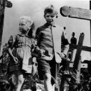 보고또보고비디오 이미지