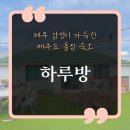 하루방 | [제주도 숙소 추천] 제주 감성이 가득한 돌집 제주도 동쪽 숙소, "하루방"