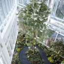 드림하우스 이미지