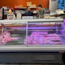 포레스트 캣호텔 이미지