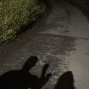 퐁낭에염 | 추천] 밍기록 | 제주 퐁낭에염 언덕집 | 제주 | 감성...2인숙소 | 가성비 숙소 | 내돈내산 | 1박2일 후기