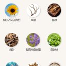 주식회사 일등 이미지