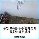 동원목욕탕 | 용인 포곡읍 누수 탐지 업체 목욕탕 방문 후기