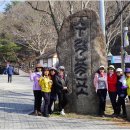 구례 산수유꽃 축제[수락폭포/현천마을/산수유축제장] 이미지