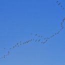 하얀언덕 이미지