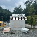 양평 시설좋은 신상 캠핑장 추천 양평 푸르른캠핑장 C사이트 3박4일 후기