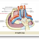 우리콩협동조합 이미지