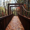 2025년 11월 20일(목) 순천 조계산 장군봉(888m) 산행 - BAC 명산100 이미지