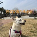 대림동산길 이미지