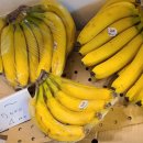 강남fruit