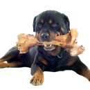 포인트동물의료센터 이미지