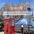 동해가볼만한곳 논골담길, 묵호등대해양문화공간, 등탑전망대 후기! 주차정보O