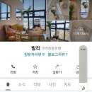 발리애견호텔 네이버블로그