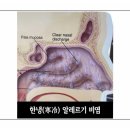 경희양지한의원 이미지