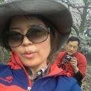 십리벚꽃산장 이미지