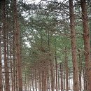 삼방산길 이미지