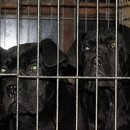 경호농장 이미지