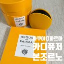 신세계 카 써비스 | 아쿠아디파르마 차량 카디퓨저 추천 본조르노 싼타페 MX5 후기