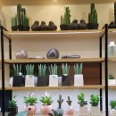 신공알뜰쇼핑 이미지