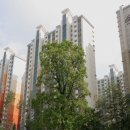 삼성동공인중개사사무소 이미지
