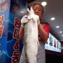 동해바다동태탕