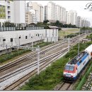 H1507 이미지